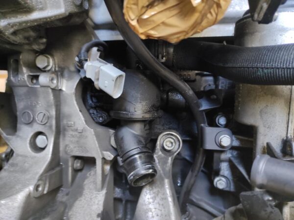 Motor Seat Exeo ST 2.0 TDI (143 cv) - Imagen 6