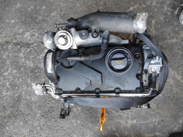 Motor Volkswagen CADDY III (2K,2C) 1.9 TDI (105cv)